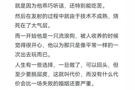 不婚主义者脑子里在想什么？网友的评论真实又扎心？图片