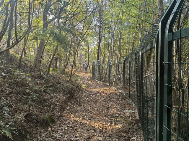 南京龙尚湖，大连山，佘村一日郊野徒步