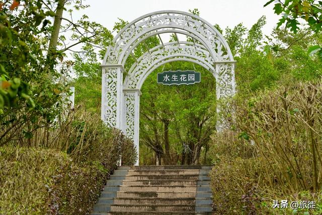 【跟着旅徒游广西】之四十：南宁｜青秀山公园