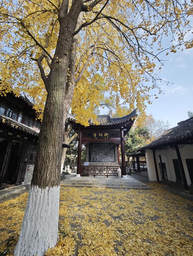 江苏扬州镇江南京五日游