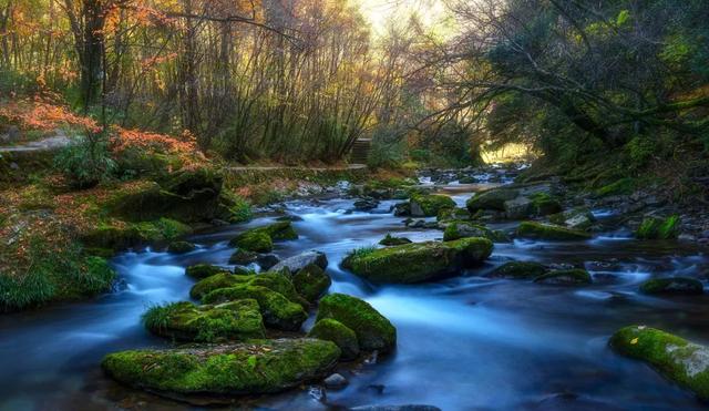 秋假不“宅家”!汉中这4条线路,承包你和孩子的秋日心动~