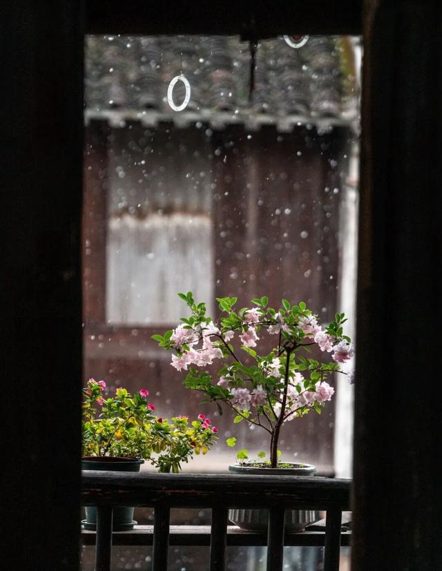 乌镇的雪景很曼妙