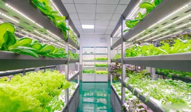 2030年之前完成登月！登月的难点究竟在哪，中国目前还缺什么？