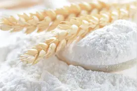 全国哪的面粉最好吃？经评比，7种面粉比较出名，有你常吃的吗？图片