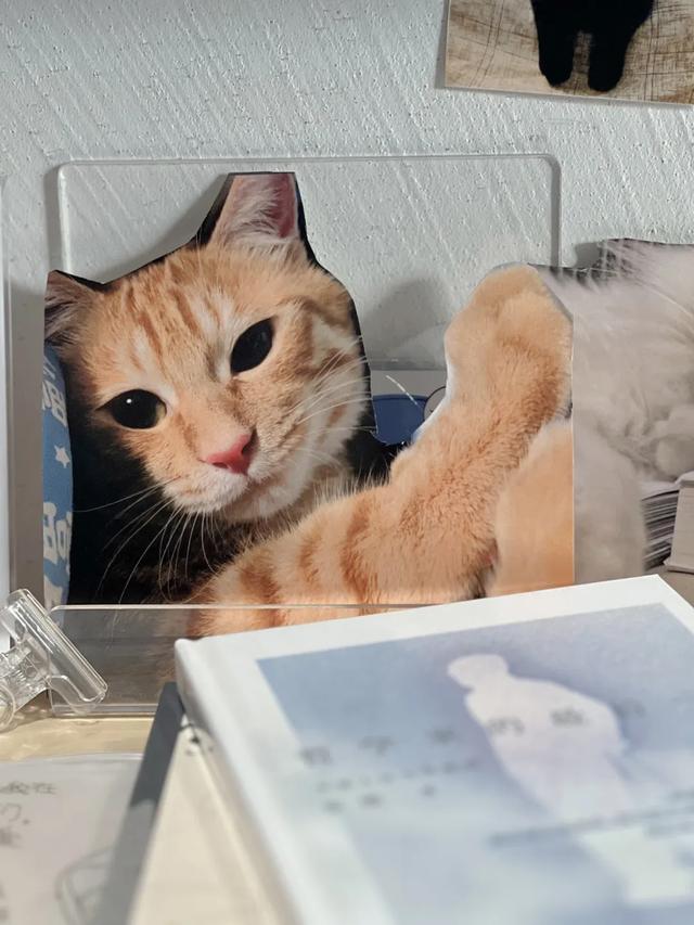 来隆福寺，“客串”一日图书编辑→