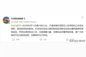 天津滨海机场再次发生飞机延误，客服：一个小时无飞机落地！图片