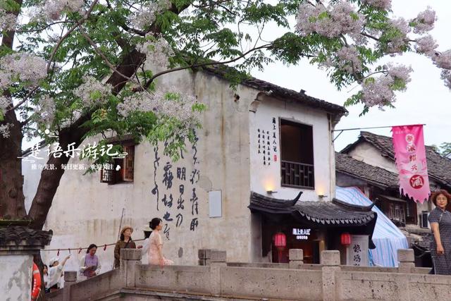 浙江绍兴蕺山街的苦楝花海，极富江南水乡情韵，是拍照的绝佳之地