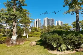 广州市黄埔区有一座“尴尬”的新城，却常被大家误以为在增城区？图片