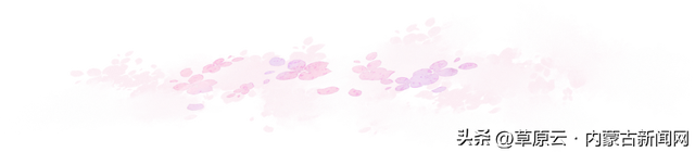 呼和浩特赏花攻略：最佳地点+公交出行指南