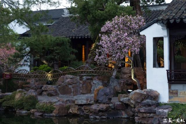 108 处点位！苏州海棠赏花地图出炉