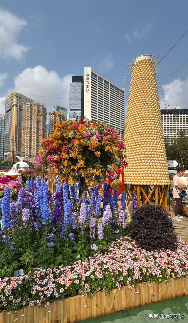 全家出动！2026 香港花展来了：紫罗兰花海 + 铜锣湾血拼