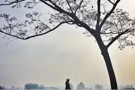 人生没有意义，莫名其妙的来，稀里糊涂的活着，不知所以然的死去图片