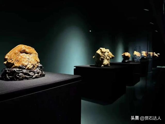 2026春季阿拉善玉·观赏石文化旅游活动盛大启幕，精品奇石欣赏