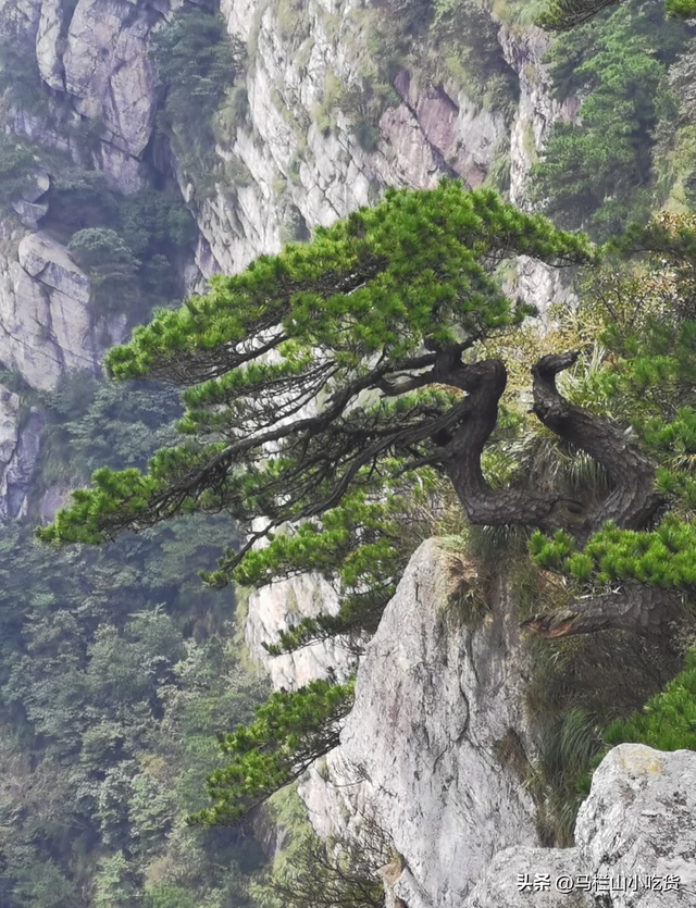 江西九江庐山旅游全攻略,一篇就够了！