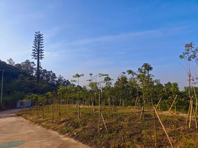 塘朗山郊野公园火车道口与绿平二路段，爬坡酸爽，骑友的天堂