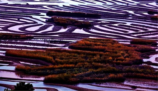 这是油画还是实景？太美太美啦！！