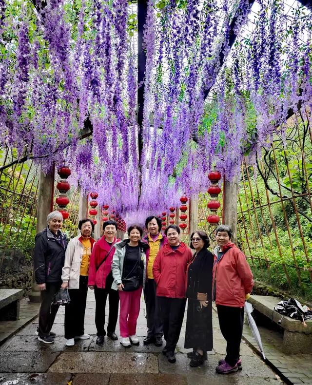 相约在湖州，相聚在梦萦——记原福空医院老战友2025年湖州行