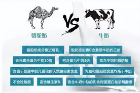 正宗驼奶哪里买，揭秘正宗驼奶的购买渠道图片