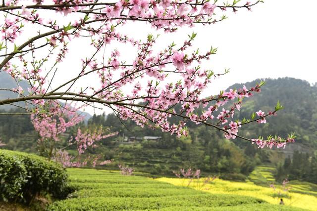 两性关系：60多岁的阿姨们坦言，女人找老伴，最大的需求是这一点