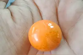 男子路边摊买海螺，竟吃出罕见“龙珠”！香港曾卖270万美元天价图片