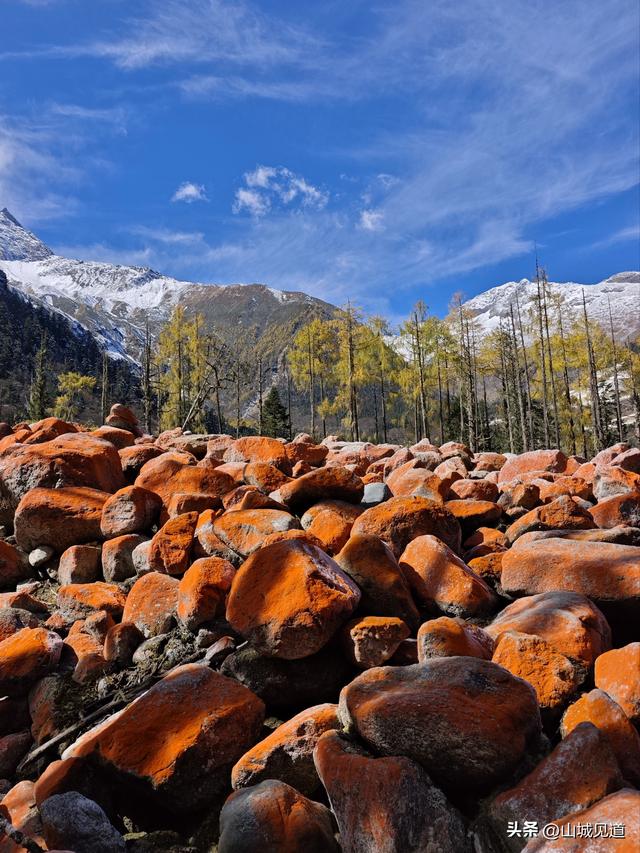 川西理小路详细游玩攻略