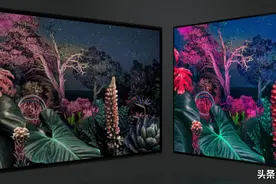 选购电视怎么判断画质？3千字长文分析，对比海信、TCL和索尼5款图片