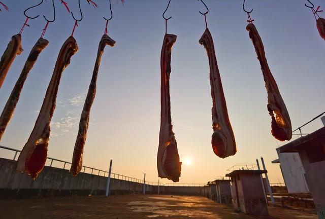 “春节冷不冷	，就看大雪”，明日大雪，2026年春节特别冷吗？