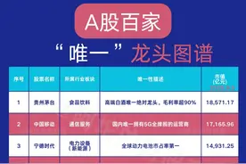 A股百家唯一龙头图片