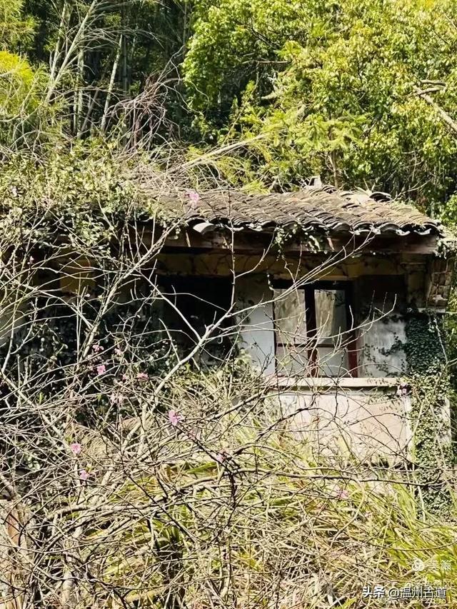 温州这条以峡谷景观和险峻山势为特色的徒步线路你可去过?