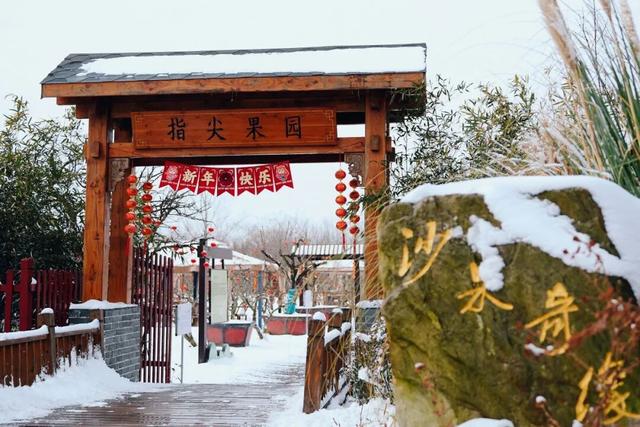 雪后的盐都，每一帧都是壁纸