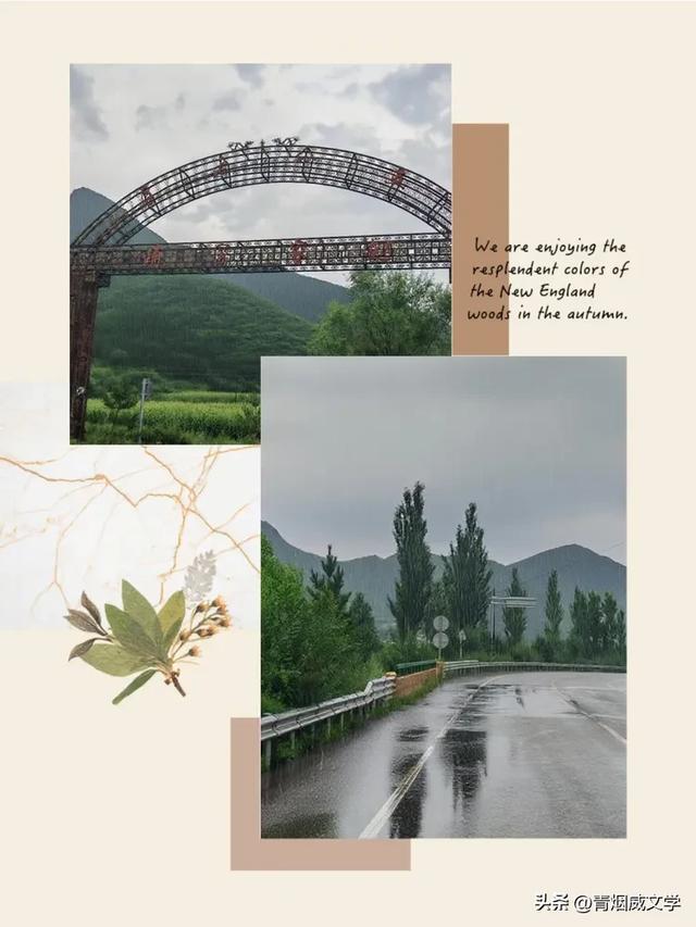 风雨中的热爱