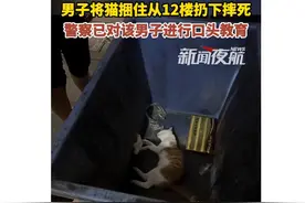 猫咪被胶带缠住四肢从12楼扔下图片