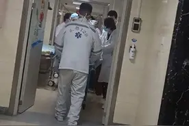 揪心！被狗咬伤女童仍昏迷 涉事黑狗已找到图片