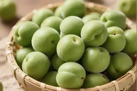 从选梅到封坛：青梅酒避坑指南（含储存技巧），零失败配方来了！图片