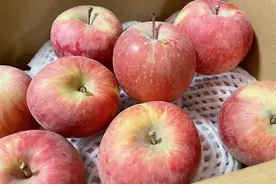 我国哪的苹果最好吃？经过比对，15种苹果榜上有名，您吃过几种？图片