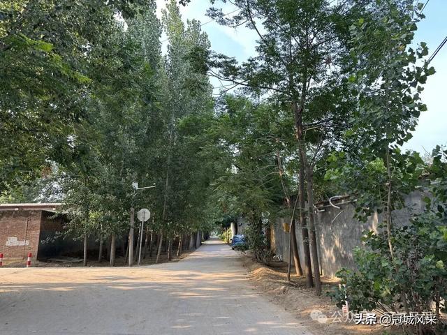 冠县乡韵·辛集镇崔刘八寨