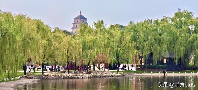 一池秋水作画屏 古典园林映画中