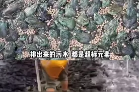 牛蛙又双叒叕塌房了，牛蛙狂好者还是少吃点吧！光看评论都要吐了图片