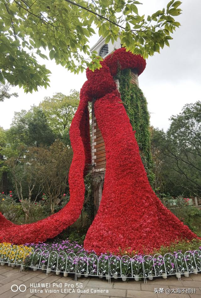 云南行·记·昆明篇D2 翠湖公园+昆明老街一日游意外多多