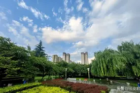 长安区主城区三分天下，郭杜备受关注！图片