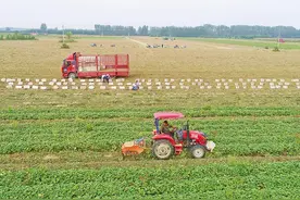 秋收农忙时 交通安全不松懈图片