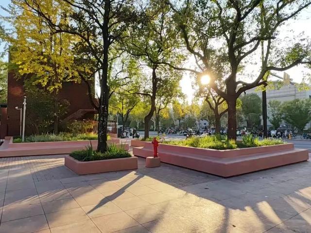 典藏上海,向新而生!上海市城市建设档案馆打开围墙,与市民共享单位附属绿地空间