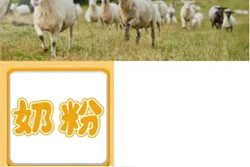 新国标羊奶粉只有这124款！怎么选？看这篇就够了！图片