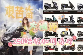 12款大踏板对比丨谁才是你的灵魂伴侣图片