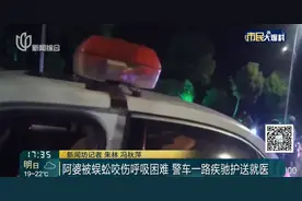 头皮发麻！家里居然也有？比白蚁更可怕，被咬后一阵钻心的痛...图片