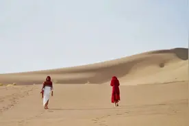 人生变好的开始：远离牛马之交图片