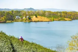 7分钟一趟动车！最近这座城市客流猛增图片