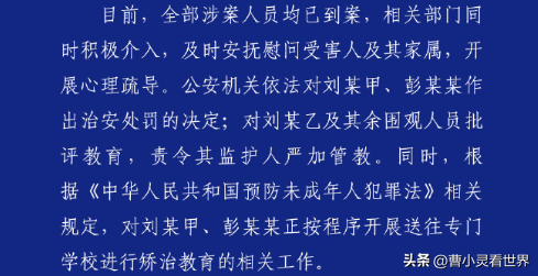 14岁女孩被脱衣殴打，施暴方称「又不是没进去过，没20分钟就放」