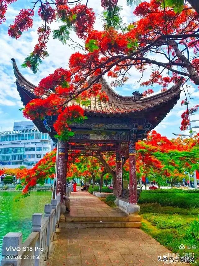 建水，你再这么红下去，别的古城还怎么玩