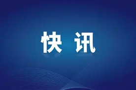 私家车被小区内绿化树砸坏，应该由谁来担责？图片